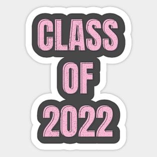 Class of 2022 in Retro Pink Sticker